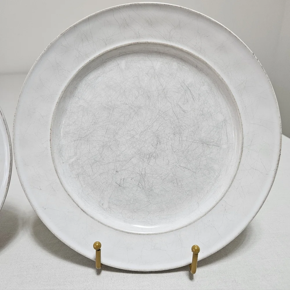 Pottery Barn Cambria Stone (2) Dinner Plates Handcrafted Rustic Trim White 10.7